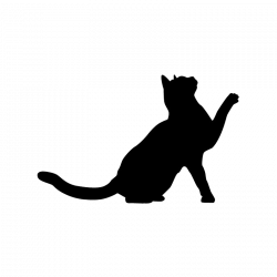 silhouette kat