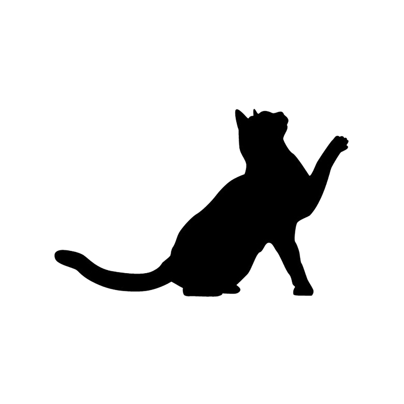 silhouette kat