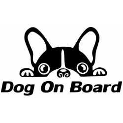 Dog on board 1